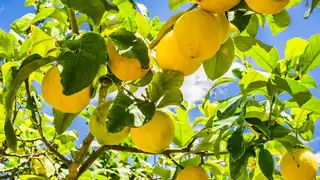 Warum Wandern auf Mallorca so außergewöhnlich vielseitig ist - Alpenstieg Bergtour Guide