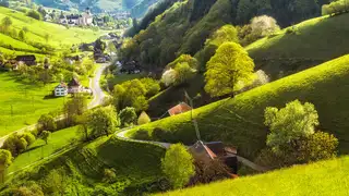 Vom Schwarzwald zum Bodensee - individuelle Trekkingwoche