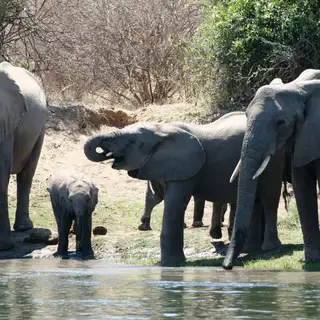 Südafrika - die Highlights der Kapregion entdecken