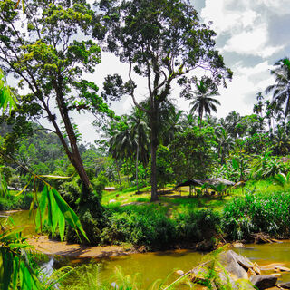 Sri Lanka komfortabel erwandern - Bergtour bei Alpenstieg buchen
