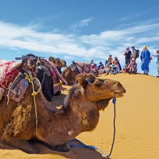 Trekkingreise Marokko - Mystisches Wüstenabenteuer - Bergtour bei Alpenstieg buchen