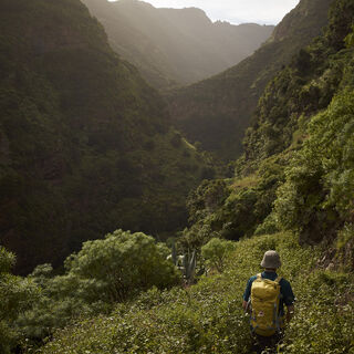 Silvester auf La Palma - Bergtour bei Alpenstieg buchen