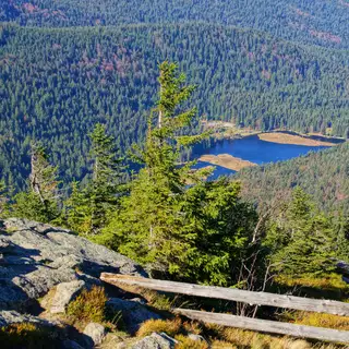 Die Highlights im Nationalpark Bayerischer Wald erwandern