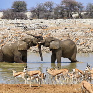 Silvester in Namibia - Bergtour bei Alpenstieg buchen
