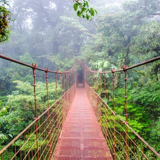 Costa Rica - Entdeckungsreise zu unberührten Nationalparks und lebendiger Kultur - Bergtour bei Alpenstieg buchen