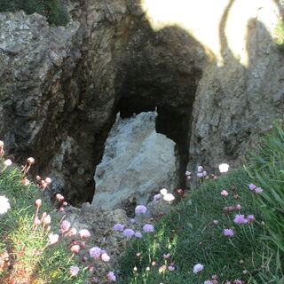 Der Great Glen Way - Schottland wie aus dem Bilderbuch - Bergtour bei Alpenstieg buchen