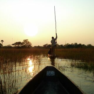 Namibia & Botswana - Tiervielfalt zwischen Wüstenbergen und Flussoasen - Bergtour bei Alpenstieg buchen