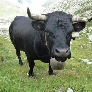 Der große Walserweg - 4. Teil