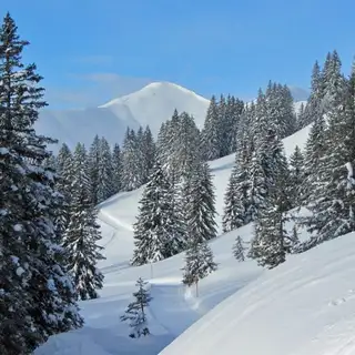 Schneeschuhwanderungen im Allgäu