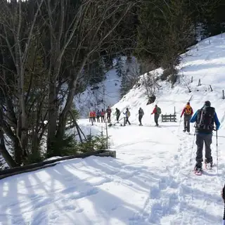 Schneeschuhtouren am Achensee