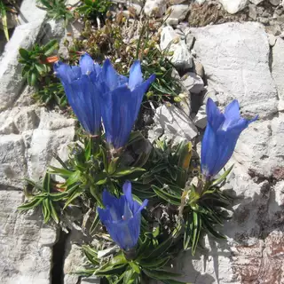 Dolomitenhöhenweg der Stille E6