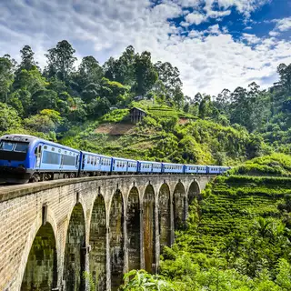 Sri Lankas Highlights erleben – Aktivreise durch Kultur und Natur