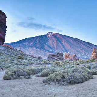Silvester auf Teneriffa  - Bergtour bei Alpenstieg buchen