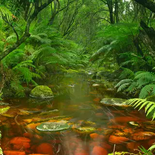 Südafrika - Wanderreise entlang der Garden Route