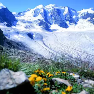 Individuelle Bernina Wanderwoche