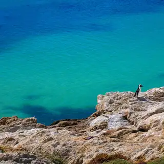 Garden Route Südafrika – die schönsten Wanderungen und Highlights entlang der Küste