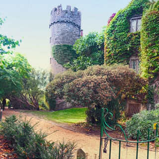 Irland - die Wicklows gemütlich erwandern - Bergtour bei Alpenstieg buchen