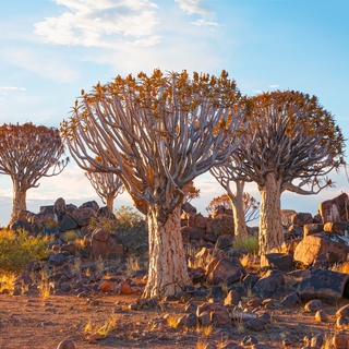 Namibia komfortabel erwandern - Bergtour bei Alpenstieg buchen