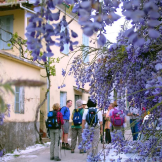 Korfus Highlights erwandern  - Bergtour bei Alpenstieg buchen
