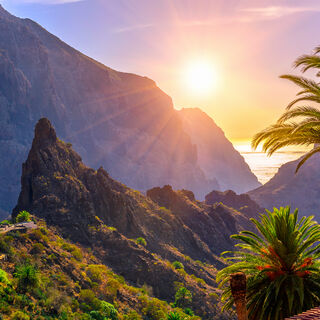 Teneriffa gemütlich erwandern - Bergtour bei Alpenstieg buchen