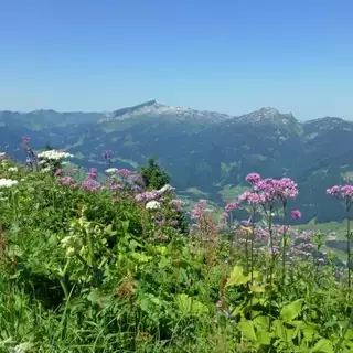 Allgäu Panorama