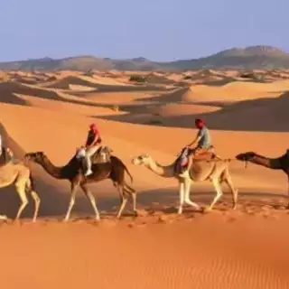 Kameltrekking durch die Sahara