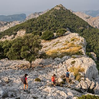 Mallorca für Singles und Alleinreisende - Bergtour bei Alpenstieg buchen