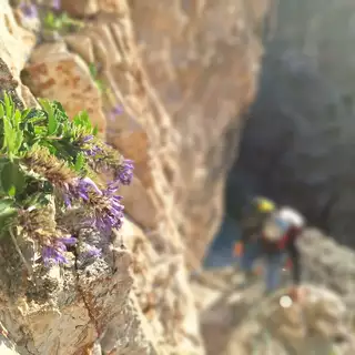 Kletterführungen rund um Cortina