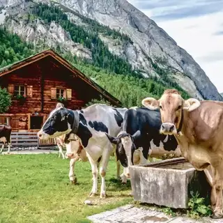 Alpenüberquerung für Anfänger – die richtige Tour finden