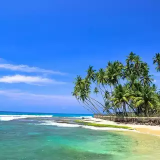 Palmenstrand und Meer an Sri Lankas Küste