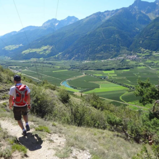 Individuelle Alpenüberquerung von Garmisch nach Meran - Bergtour bei Alpenstieg buchen