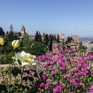 Andalusien - Stille, Weite, Wüste - Bergtour bei Alpenstieg buchen