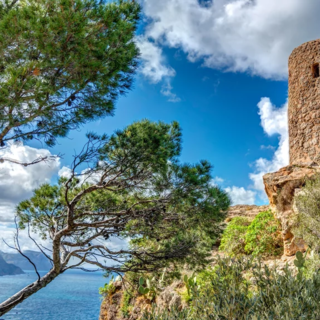 Mallorcas Ostküste erwandern - Bergtour bei Alpenstieg buchen