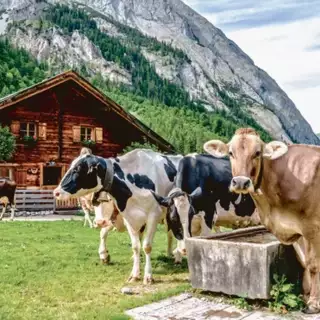Individuelle Alpenüberquerung von Alm zu Alm
