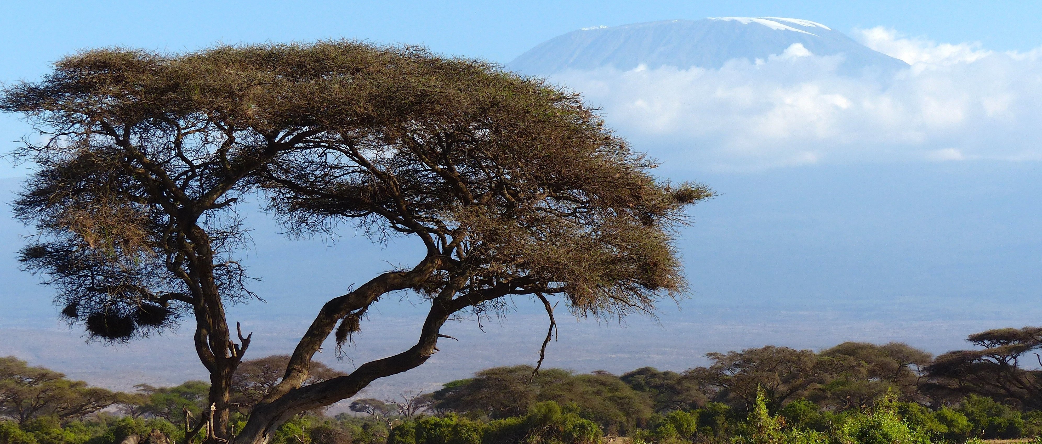 Kilimandscharo Besteigung – Vorbereitung, Tipps & Akklimatisation - Alpenstieg Blog Beitrag