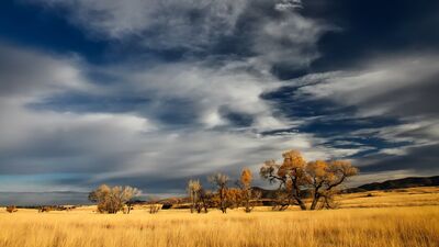 Patagonien begeistert zu jeder Jahreszeit mit seiner wilden Natur. Wer zwischen November und März reist, erlebt die besten Bedingungen für unvergessliche Wander- und Trekkingtouren