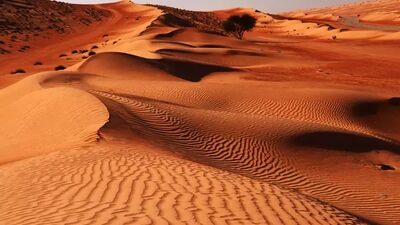 Die Wahiba Sands zählen zu den beeindruckendsten Wüstenlandschaften Omans und bilden einen faszinierenden Kontrast zu den grünen Wadis und dem Hajar-Gebirge