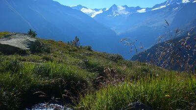 Berliner Höhenweg – Hochalpine Runde durch die Zillertaler Alpen - Alpenstieg Blog