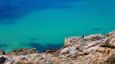 Garden Route Südafrika – die schönsten Wanderungen und Highlights entlang der Küste - Alpenstieg Blog