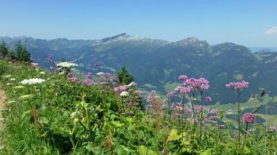 Allgäu Panorama