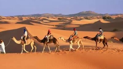 Kameltrekking durch die Sahara