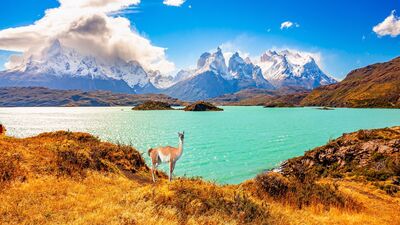 Beste Reisezeit für Patagonien – wann lohnt sich eine Trekkingreise? - Alpenstieg Blog