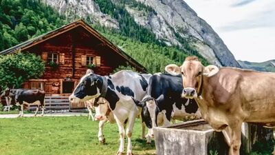 Alpenüberquerung für Anfänger – die richtige Tour finden - Alpenstieg Blog