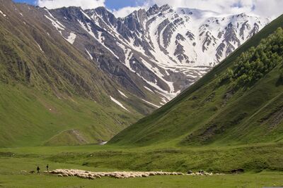 Wer einmal durch die wilde Bergwelt Georgiens gewandert ist, versteht schnell, warum der Kaukasus viele Trekkingfans nicht mehr loslässt