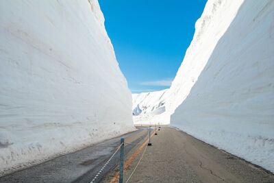 Meterhohe Schneewände machen die Tateyama Kurobe Alpine Route zu einem der spektakulärsten Naturerlebnisse Japans