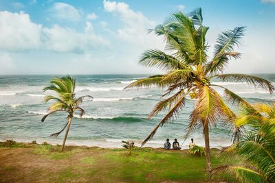 Palmen, tropische Küsten und ganzjährig warme Temperaturen prägen viele Regionen Sri Lankas – je nach Monsunzeit zeigt sich die Insel jedoch von ganz unterschiedlichen Seiten