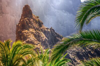 Steile Felswände, bizarre Vulkanformationen und üppige Vegetation – die Masca-Schlucht zählt zu den spektakulärsten Wanderlandschaften Teneriffas