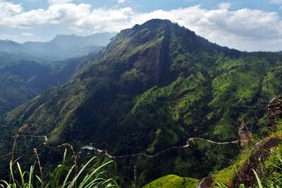 Ella zählt mit dem Little Adam's Peak, spektakulären Ausblicken und den umliegenden Teeplantagen zu den beliebtesten Wanderzielen Sri Lankas