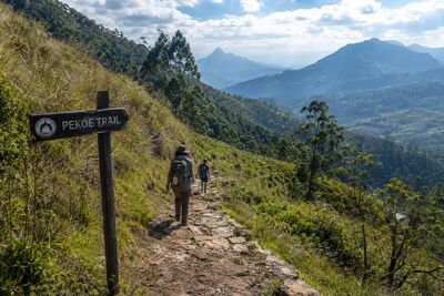 Der Pekoe Trail führt auf rund 300 Kilometern durch Teeplantagen, Bergdörfer und die schönsten Landschaften des Hochlands von Sri Lanka