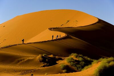 Auf den Dünenkämmen des Namib-Naukluft-Nationalparks offenbart sich die ganze Weite und Schönheit der Namib-Wüste